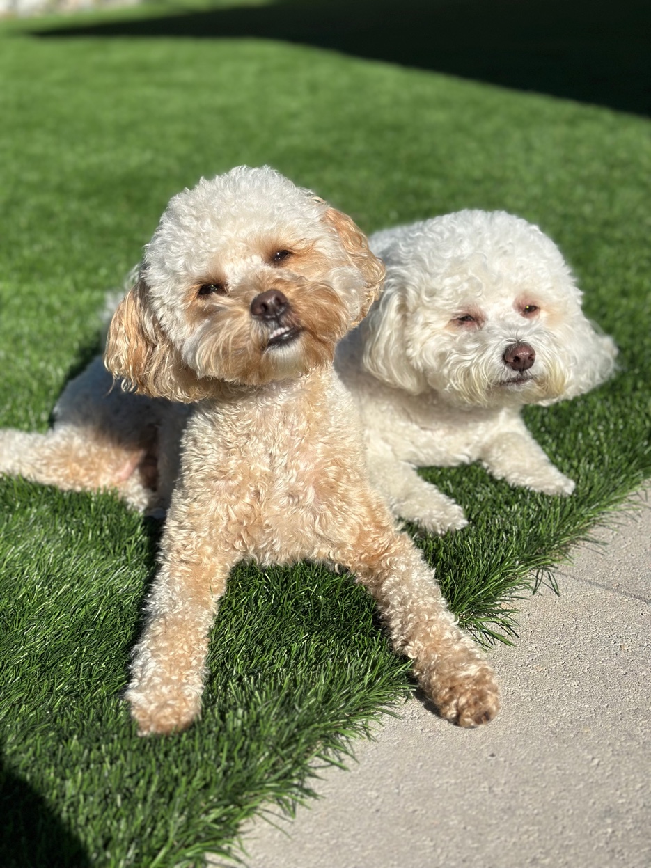 Cash and Benny together